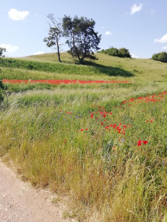 Ferienhaus Am Kuhstall Bad Munstereifel Bagian luar foto